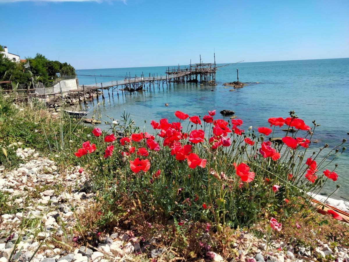 B&B Il Battocchio Ланчиано Экстерьер фото